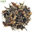 Shou Mei eyebrow White Tea